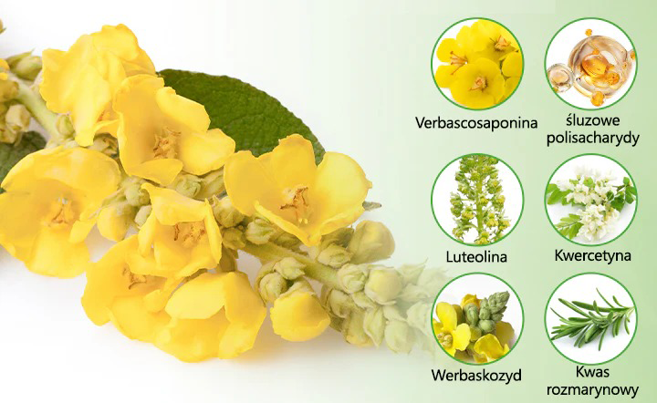 Timilk® HerbaAir Oczyszczacz Płuc z Dziewanny 💖