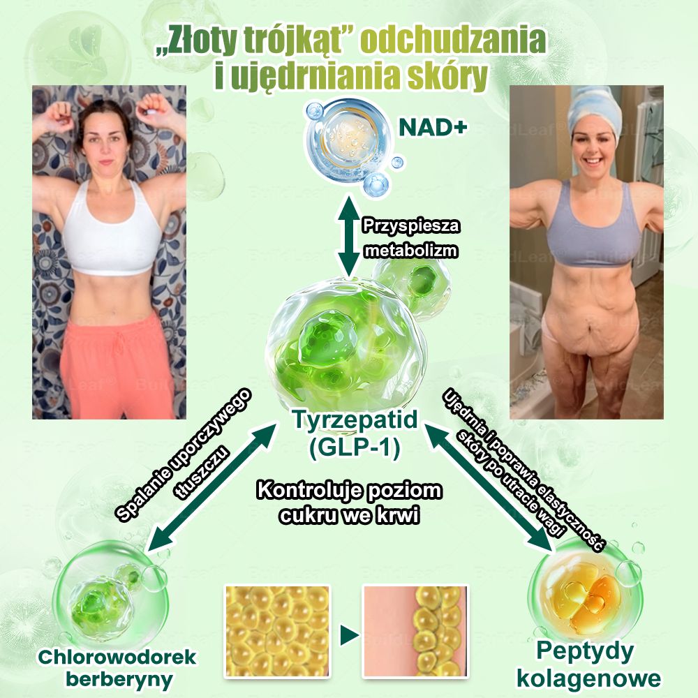 ♻️♻️♻️𝖮𝖋𝗶𝗰𝗷𝗮𝗹𝗻𝘆 𝘀𝗸𝗹𝗲𝗽 | 👩⚕️𝘽𝙪𝙞𝙡𝙙𝙇𝙚𝙖𝙛® 𝗚𝗟𝗣-𝟭 𝟖-w-𝟭 𝗦𝗹𝗶𝗺 & 𝑯𝒆𝒂𝒍𝒕𝐡𝐲 𝑶𝒓𝒂𝒍 𝑺𝒐𝒍𝒖𝒕𝒊𝒐𝒏 (𝑟𝑎𝑧 𝑑𝑧𝑖𝑒𝑛𝑛𝑖𝑒, 𝑟𝑒𝑧𝑢𝑙𝑡𝑎𝑡𝑦 𝑤 7 𝑑𝑛𝑖),Wspiera odchudzanie, serce, cukrzycę, sen, jelita, stawy, a także ujędrnia skórę i dodaje energii✅